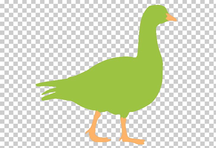 Goose Mallard Duck Google S PNG, Clipart, Android, Animals, Beak, Bird, Chicken Free PNG Download