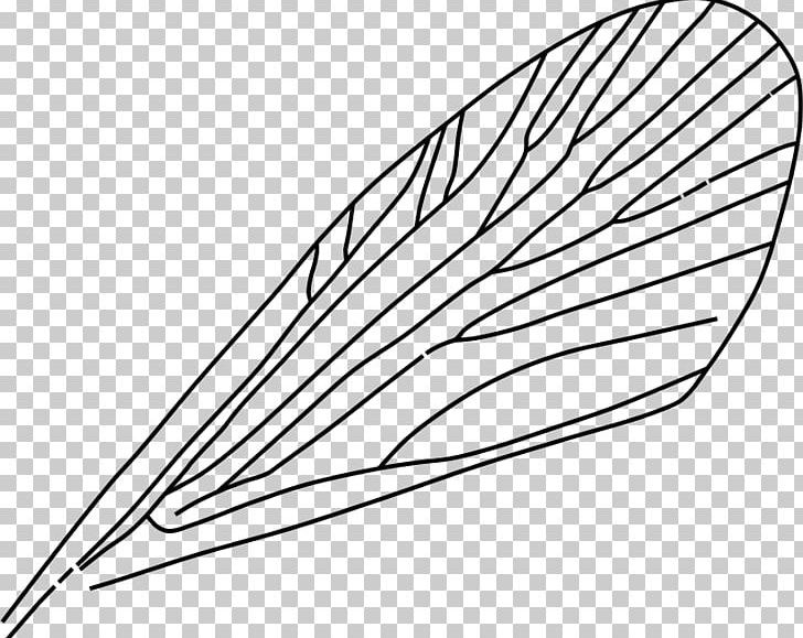 Insect Wing Dragonfly PNG, Clipart, Angle, Animals, Antenna, Area, Artwork Free PNG Download