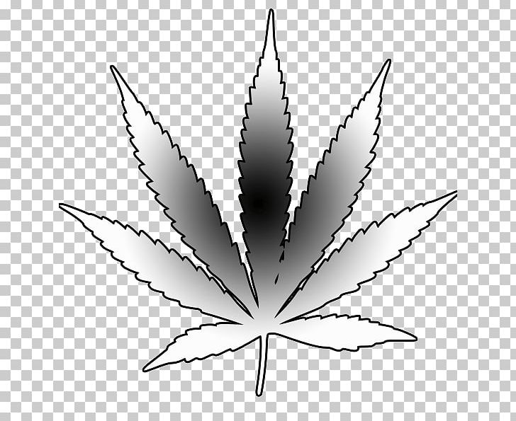 Medical Cannabis Drawing Leaf PNG, Clipart, Black And White, Bong, Cannabis, Drawing, Flowering Plant Free PNG Download