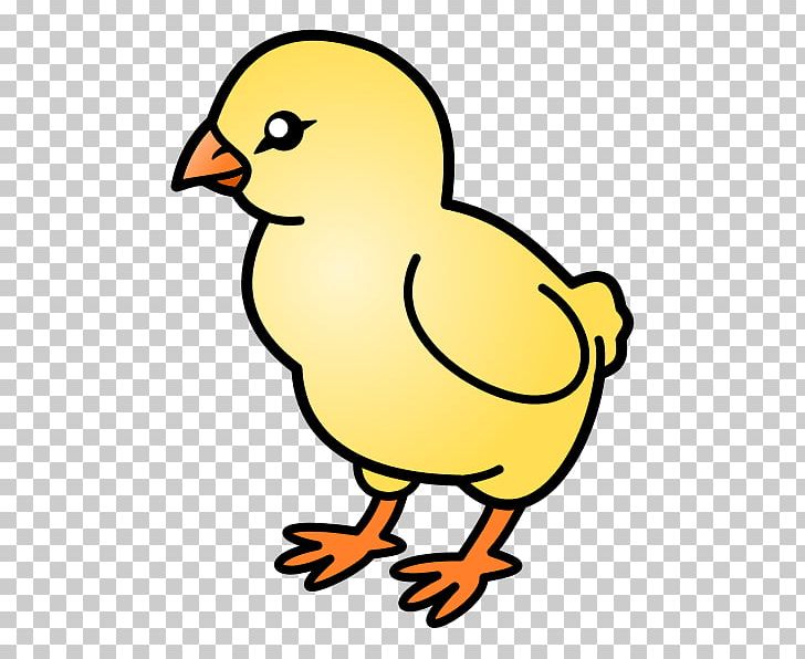 Chicken Kifaranga Drawing PNG, Clipart, Adobe Acrobat, Animal Figure, Animals, Artwork, Beak Free PNG Download