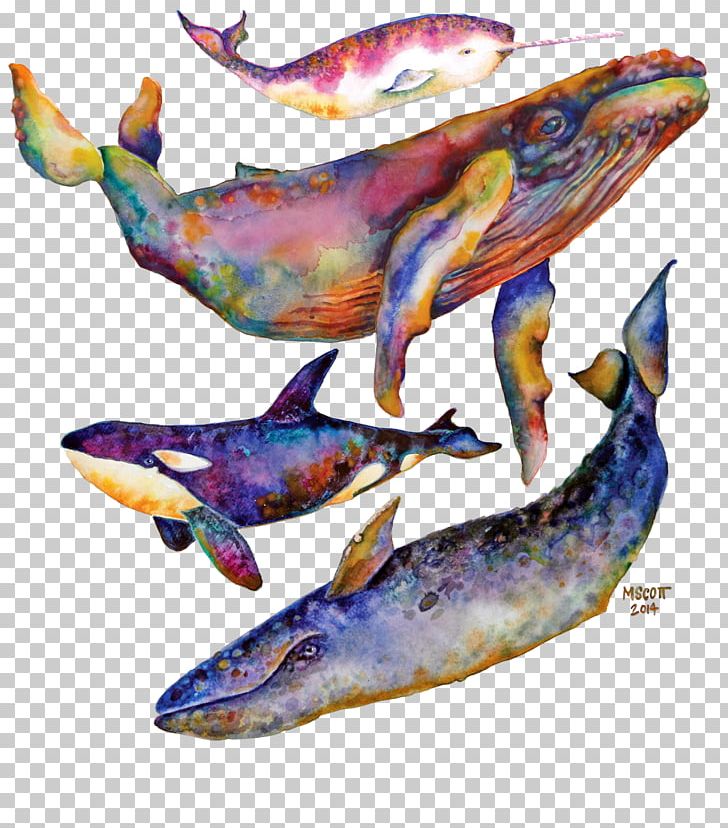 Dolphin Watercolor Painting Cetacea Art Humpback Whale PNG, Clipart, Animal, Animals, Art, Blue Whale, Canvas Print Free PNG Download