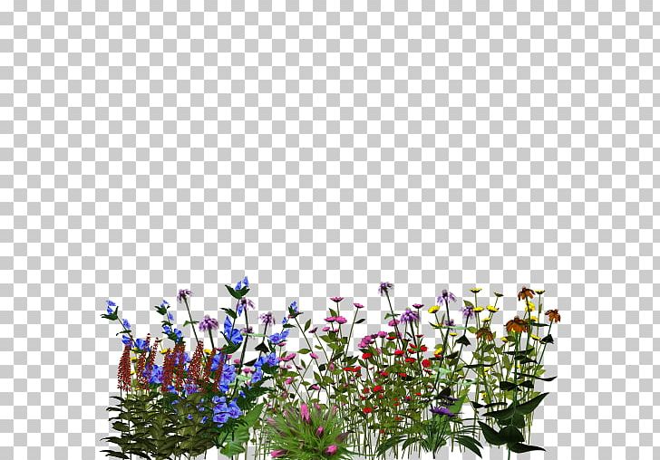 Floral Design Flowering Plant Cut Flowers PNG, Clipart, Cut Flowers, D 1, E 31, Flora, Floral Design Free PNG Download