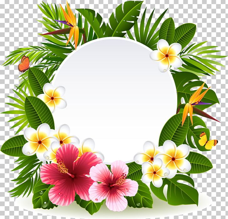 Flower Stock Photography PNG, Clipart, Annual Plant, Branch, Circles, Flower Arranging, Flowers Free PNG Download