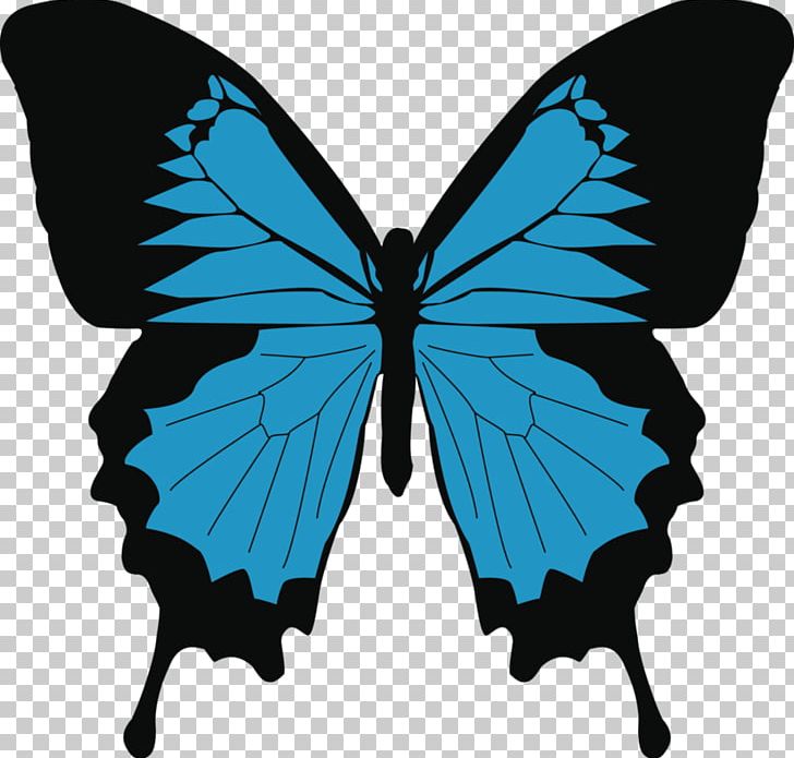 Monarch Butterfly Papilio Ulysses Swallowtail Butterfly Drawing PNG, Clipart, Aglais Io, American Painted Lady, American Snout, Arthropod, Brush Footed Butterfly Free PNG Download