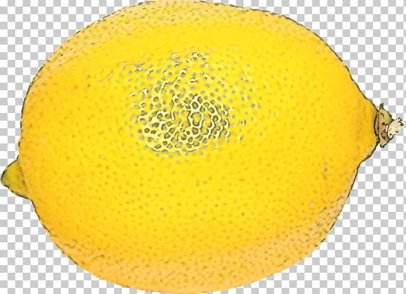 Yellow Fruit Muskmelon Plant Citrus PNG, Clipart, Citrus, Fruit, Lemon, Muskmelon, Plant Free PNG Download