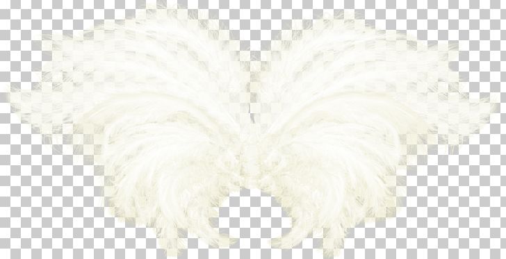 Angle PNG, Clipart, Angels Wings, Angel Wing, Angel Wings, Angle, Chicken Wings Free PNG Download