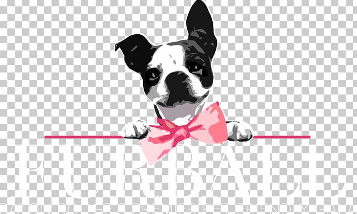Boston Terrier Hilton Baton Rouge Capitol Center Dog Breed Companion Dog Fur Ball 2018 PNG, Clipart, Animals, Ball, Baton Rouge, Boston Terrier, Caa Free PNG Download