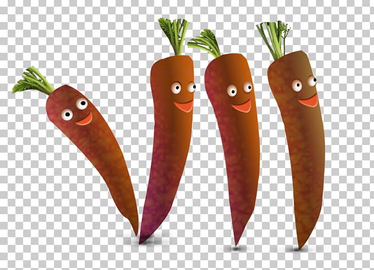 Carrot Juice Chili Pepper PNG, Clipart, Bunch Of Carrots, Carrot, Carrot Cartoon, Carrot Juice, Carrots Free PNG Download