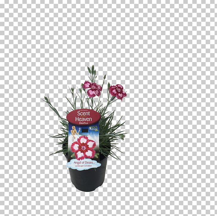 Flowering Plant Flowerpot PNG, Clipart, Christmas Ornament, Dianthus, Flower, Flowering Plant, Flowerpot Free PNG Download