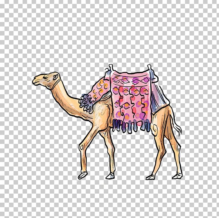 Camel Cartoon PNG, Clipart, Animals, Arabian Camel, Art, Balloon Cartoon, Boy Cartoon Free PNG Download