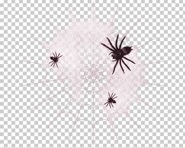 Spider Web Halloween Boszorkxe1ny PNG, Clipart, Boszorkxe1ny, Child, Circle, Computer Wallpaper, Flower Free PNG Download