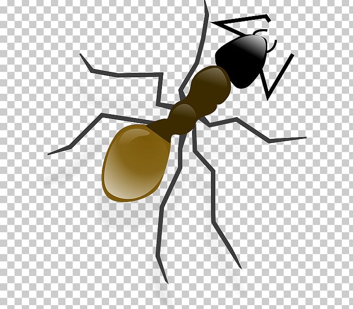 Ant Computer Icons PNG, Clipart, Animation, Ant, Ant Clipart, Arthropod, Artwork Free PNG Download