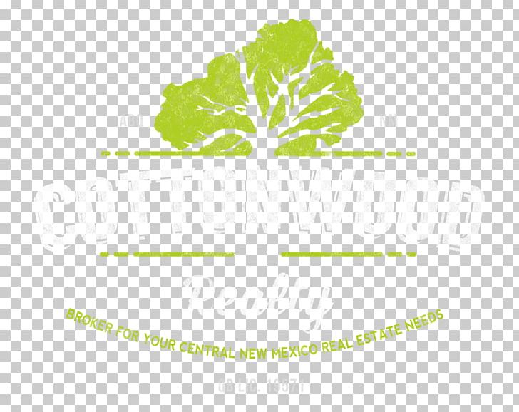 Leaf Vegetable Logo Herb Font PNG, Clipart, Brand, Green, Herb, Leaf, Leaf Vegetable Free PNG Download
