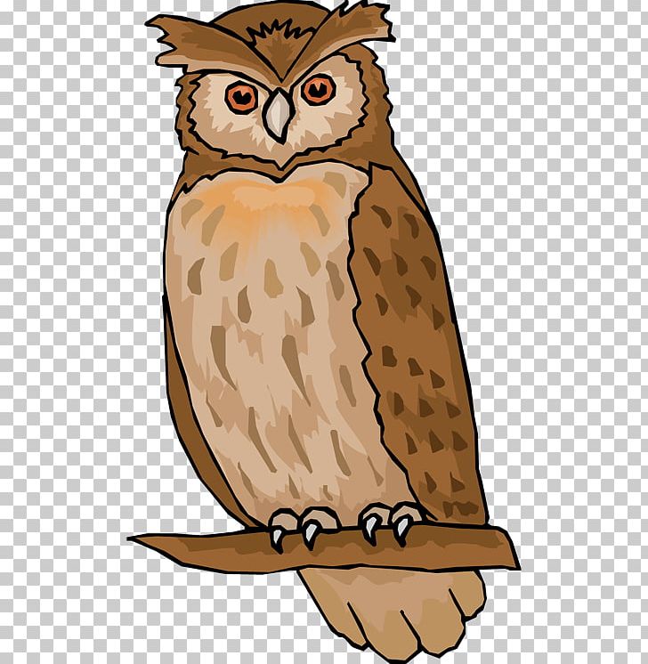 Owl Free Content PNG, Clipart, Animation, Beak, Bird, Bird Of Prey, Blackandwhite Owl Free PNG Download
