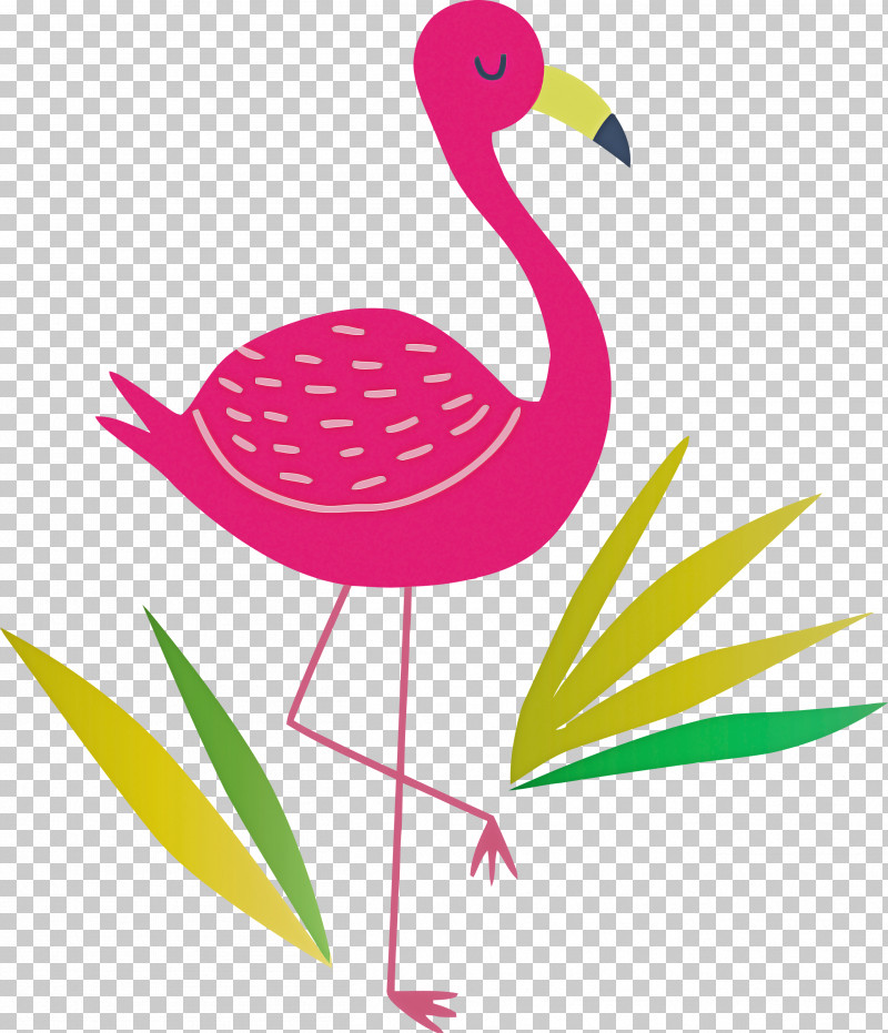 Flamingo PNG, Clipart, Beak, Birds, Flamingo, Leaf, Meter Free PNG Download