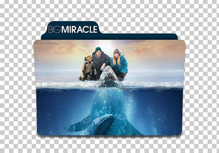 Adam Carlson Rachel Kramer Film Actor Big Miracle PNG, Clipart, Actor, Arctic, Celebrities, Drama, Drew Barrymore Free PNG Download
