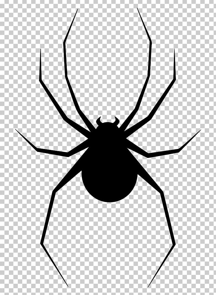 T-shirt Spider Silhouette PNG, Clipart, Animal, Arachnid, Arthropod, Artwork, Black And White Free PNG Download
