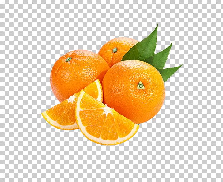 Tangerine Mandarin Orange Bitter Orange Tangelo PNG, Clipart, Bitte, Chenpi, Citric Acid, Citrus, Clementine Free PNG Download