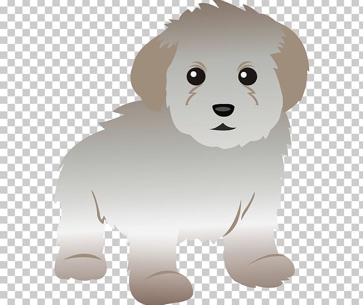 Toy Poodle Maltese Dog Standard Poodle Miniature Poodle PNG, Clipart, Bear, Bichon Frise, Carnivoran, Dog, Dog Breed Free PNG Download