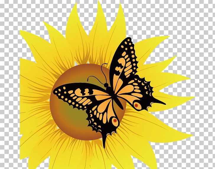 Common Sunflower PNG, Clipart, Brush Footed Butterfly, Daisy Family, Encapsulated Postscript, Flower, Flowers Free PNG Download