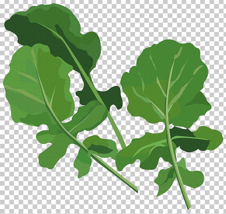 Herb PNG, Clipart, Basil, Collard Greens, Dill, Fotosearch, Herb Free PNG Download