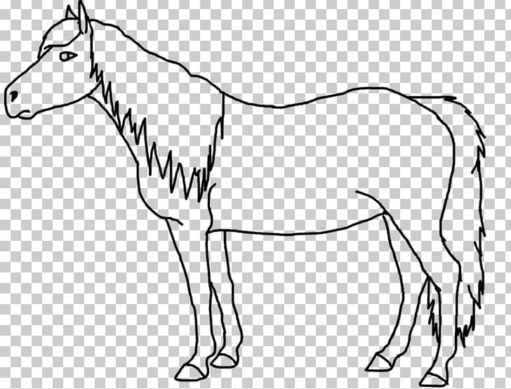 Mule Mare Foal Colt Mustang PNG, Clipart, Arabian Horse, Black And White, Bridle, Colt, Drawing Free PNG Download
