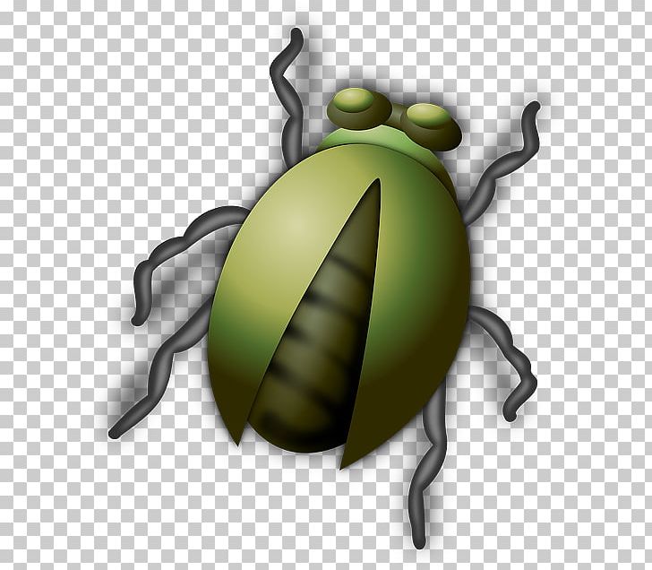 Beetle PNG, Clipart, Amphibian, Animals, Arthropod, Bee, Beetle Free PNG Download