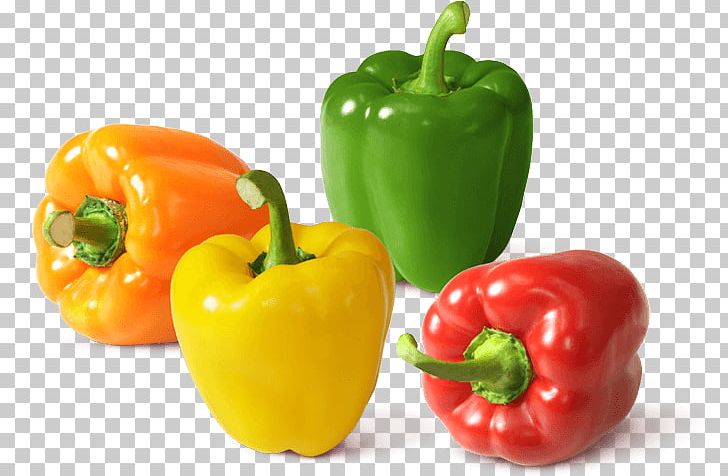 Habanero Chili Pepper Cayenne Pepper Capsicum Bell Pepper PNG, Clipart ...