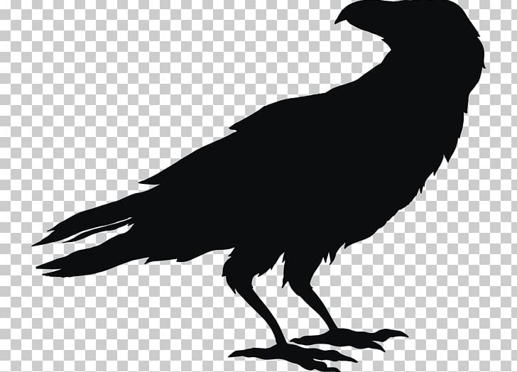 Owl Bird Silhouette PNG, Clipart, American Crow, Animals, Barn Owl, Beak, Bird Free PNG Download