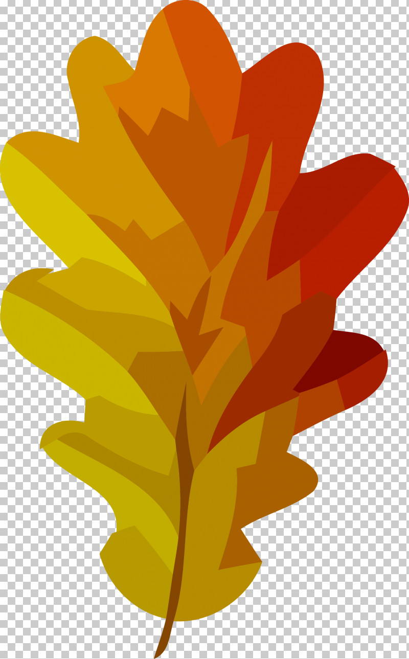 Autumn Leaf Fall Leaf Yellow Leaf PNG, Clipart, Autumn Leaf, Fall Leaf, Leaf, Plant, Tree Free PNG Download