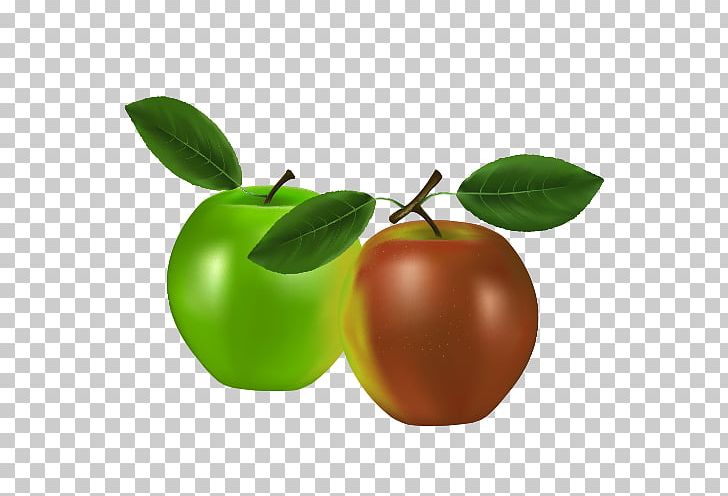 Fruit Apple PNG, Clipart, Apple Fruit, Apples Vector, Apricot, Auglis, Ball Free PNG Download