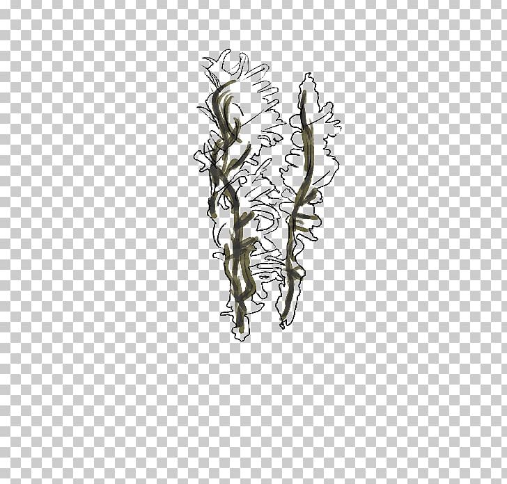 Galicia Flora Body Jewellery Marca Culture PNG, Clipart, Alga, Algae, Body Jewellery, Body Jewelry, Branch Free PNG Download
