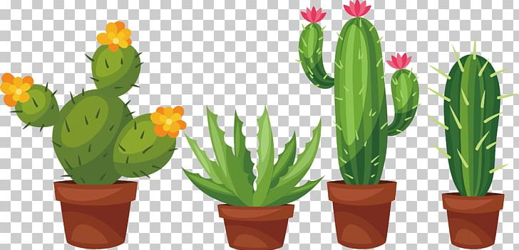 Succulent Plant Cactaceae Prickly Pear PNG, Clipart, Cactus, Crossstitch, Drawing, Flower, Flowering Plant Free PNG Download