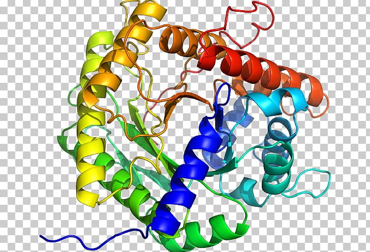 Acetylcholinesterase Butyrylcholinesterase Structure PNG, Clipart, Acetylcholine, Acetylcholinesterase, Artwork, Betaglucosidase, Body Jewelry Free PNG Download