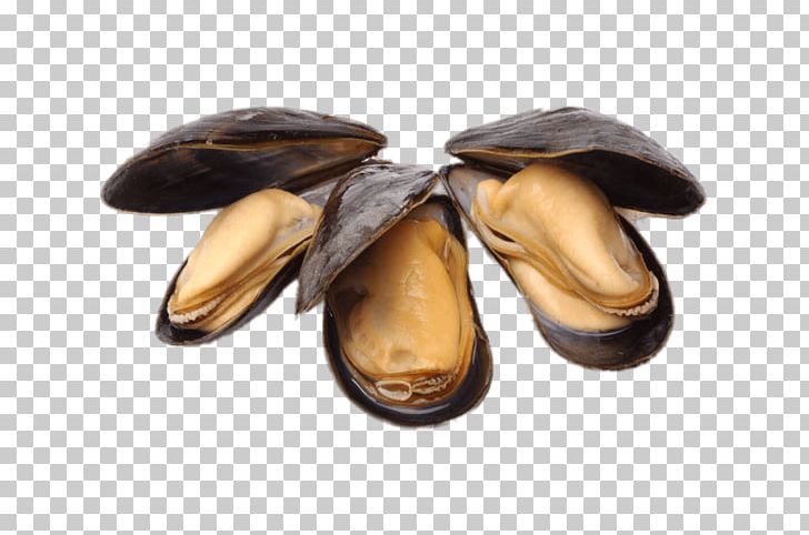 Blue Mussel Oyster Food Supper PNG, Clipart, Anemia, Blue Mussel, Clams Oysters Mussels And Scallops, Fish, Food Free PNG Download