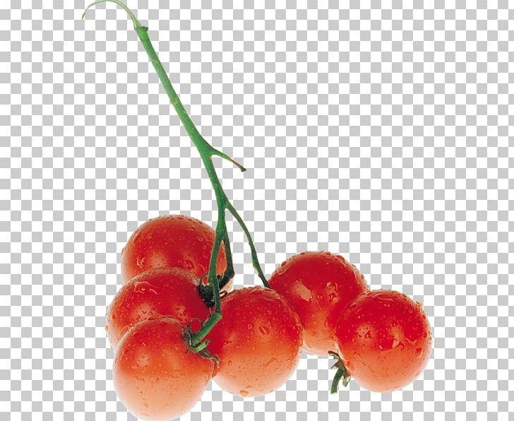 Cherry Tomato Vegetable Tomato Juice Food PNG, Clipart, Cherry, Desktop Wallpaper, Food, Fruit, Frutti Di Bosco Free PNG Download