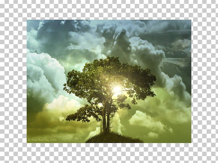 Desktop Tree Of Life High-definition Television PNG, Clipart, 1080p, Atmosphere, Cloud, Computer Wallpaper, Desktop Wallpaper Free PNG Download