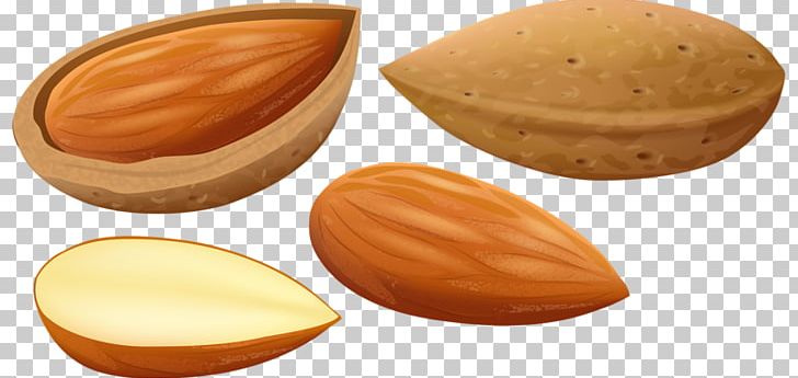 Nut Apricot Kernel Cartoon PNG, Clipart, Almond, Almond Milk, Almond Nut, Almonds, Apricot Free PNG Download