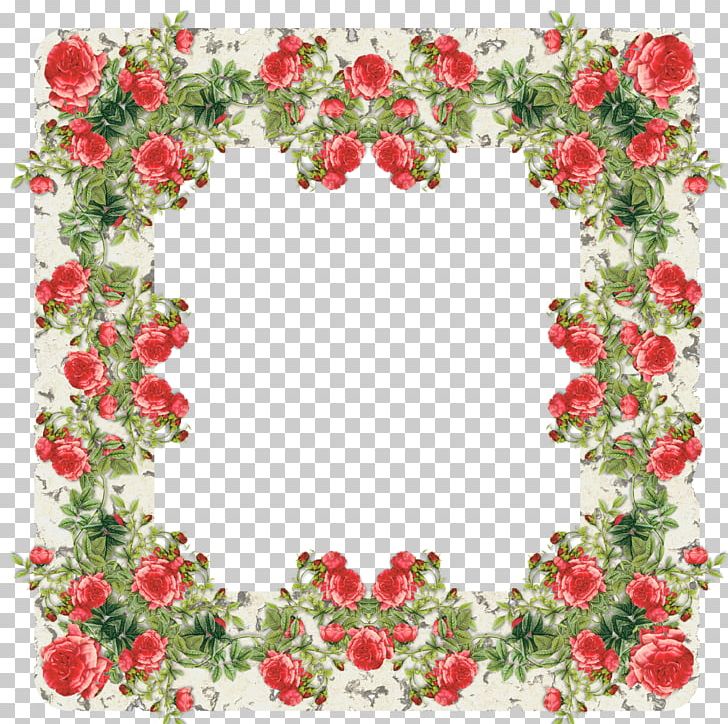 Frames Rose Stock Photography PNG, Clipart, Blue, Cut Flowers, Desert Rose, Floral Design, Floristry Free PNG Download