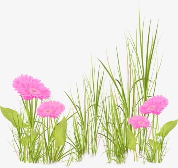 Green Grass PNG, Clipart, Cartoon, Flowers, Grass, Grass Clipart, Green Free PNG Download