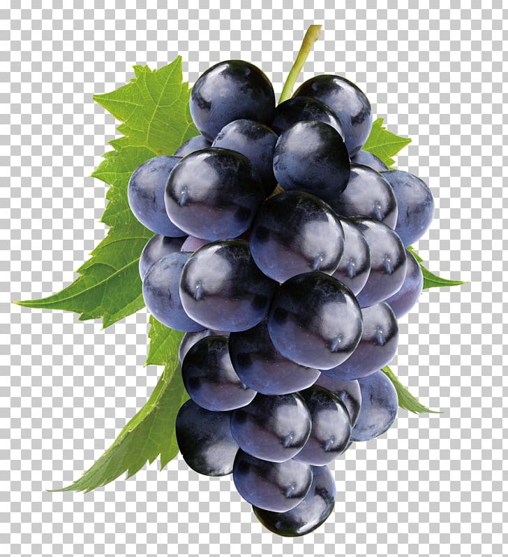 Kyoho Wine Grape Seed Extract Tank Factory PNG, Clipart, Bilberry, Common Grape Vine, Extract, Food, Fruit Free PNG Download
