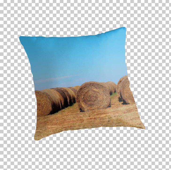 Throw Pillows Cushion PNG, Clipart, Cushion, Furniture, Hay Bales, Pillow, Throw Pillow Free PNG Download
