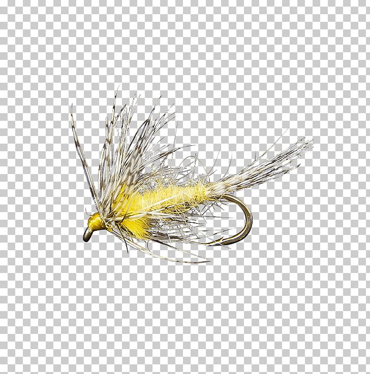 Artificial Fly Insect Wing PNG, Clipart, Artificial Fly, Feather, Fishing Bait, Fly, Grass Family Free PNG Download