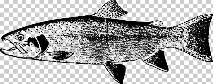 Sardine PNG, Clipart, Animal Figure, Beautiful Fish, Black And White, Computer Icons, Fauna Free PNG Download