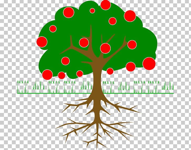 Tree Diagram Root Trunk PNG, Clipart, Branch, Child, Diagram, Evergreen, Lateral Root Free PNG Download