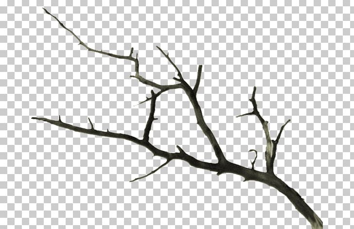 Twig Branch Tree Dream PNG, Clipart, Artwork, Autumn, Branch, Dali, Dream Free PNG Download