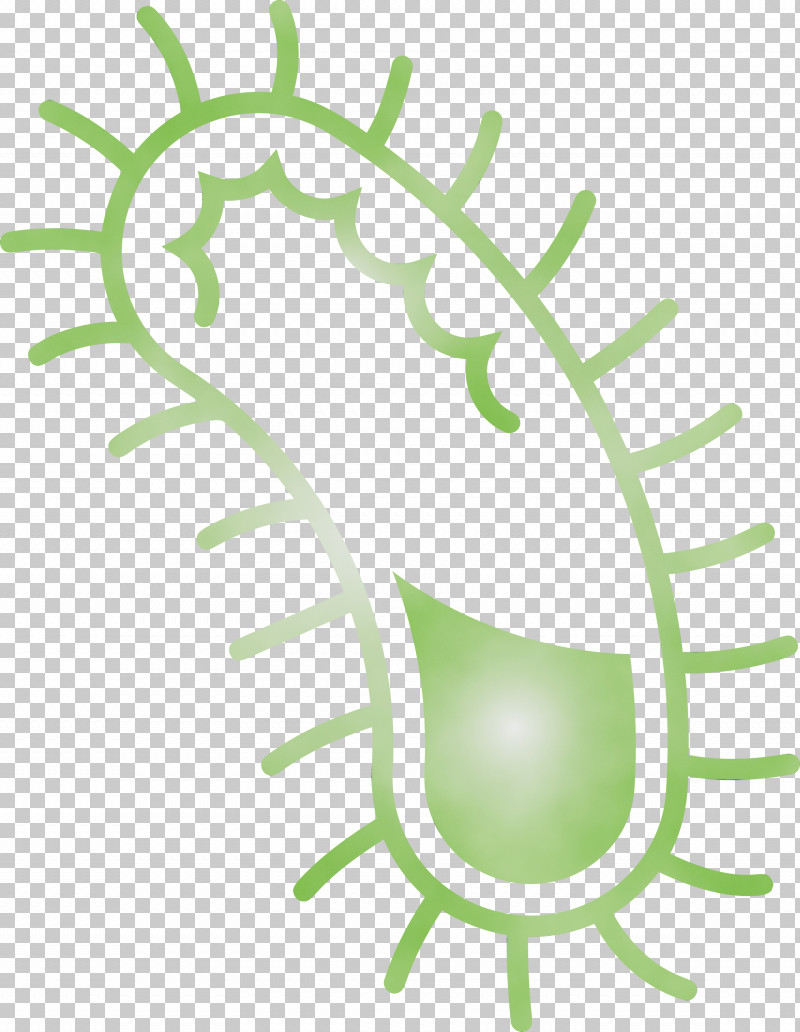 Green Leaf Plant Vascular Plant PNG, Clipart, Bacteria, Germs, Green, Leaf, Paint Free PNG Download
