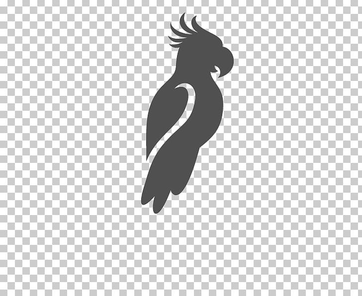 Beak Flightless Bird Logo Silhouette PNG, Clipart, Animals, Beak, Bird, Black, Black And White Free PNG Download