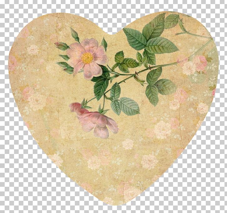 Art Valentine's Day Botanical Illustration Still Life Paper PNG ...