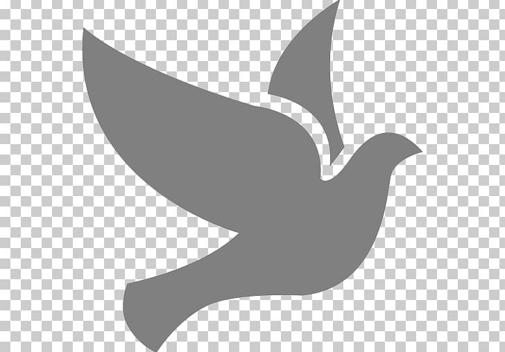 Bird Computer Icons PNG, Clipart, Animal, Animals, Bald Eagle, Beak, Bird Free PNG Download